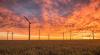 After solar and wind farms sprang up, citizens and local government jumped into action
