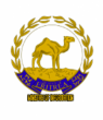 Eritrea Shares its Experience on Implementation of Sustainable Development Goals