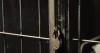 Alabama Awaits U.S. Supreme Court Ruling on Lee Execution