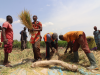 ‘We Are Not Allowed to Farm’: Islamic Extremists Terrorize Catholic Farming Community