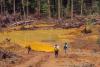 Mining gold in the greenstone belt of Panamazonia