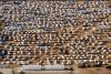 Sudanese Refugees In Chad Will Starve Without More W.F.P. Funding