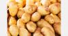 Dutch potato exports rise 12.6% as Northwest European harvest declines