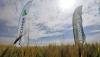 Romania’s Agricover posts 55% rise in H1 net profit on stronger lending, input sales