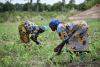Resilient women farmers in Chad battle climate challenges and social barriers