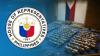 National protection system vs crises measure filed in House