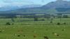 NZ red meat sector aims to grow exports to $23bn by 2035