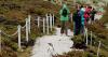 Falklands: “Three strikes and out of the game”, for tourist operators who don't comply with guidelines