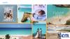 Exclusively Yours Anguilla: The #1 Island in the Caribbean
