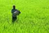 India scales farmer ID system for payments with KPMG support