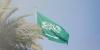 Saudi Arabia condemns assassination bid on Comoros president