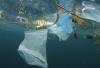 UNESCO appeals for ships to sign up to scientific mission to track health of world’s oceans