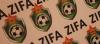 FIFA WCQ: Zimbabwe to host SA in Botswana – report