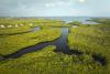 New proposed rule puts over 80% of Florida’s wetlands at risk