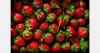 Hungarian strawberry harvest at 7,000 to 7,500 tons