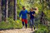 Michigan DNR lists May meeting dates for advisory boards and commissions