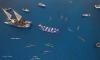 'Leave it alone': Cook Islands marine biologist on deep-sea mining the 'marae moana'