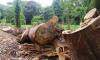Costa Rica Urged to Fix Broken Forestry Permit System