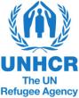 United Nations High Commissioner for Refugees (UNHCR) sounds alarm on worsening humanitarian situation in the Democratic Republic of Congo (DR Congo)