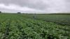 How agricultural engineering is reshaping modern farming practices in India