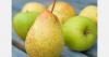 European apple stocks up 21.9%, pear stocks rise 30.2%
