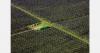 U.S. farmers cite rising costs and tariffs as top concerns in new survey