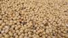 Brazil’s expected record soybean crop pressuring U.S. exports and prices