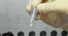 Falklands, Update on avian influenza