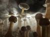 Psychedelics are coming. Are we ready?