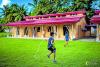 ‘Reinventing’ bamboo for sustainable construction
