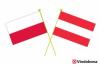 Warsaw Welcomes Young Members of the Polish Diaspora for Polonia Camp and the 2026 Polish Diaspora Leadership Academy