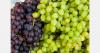 Peru's table grape exports to rise in 2025/26, Chile's to fall