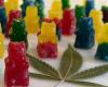 CIS teacher fined CI$4650 over ganja gummies
