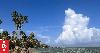 Amplifying Pacific voices for science