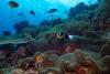 Scientists to explore marine sanctuary's deep-sea habitats