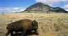 South Dakota tribes revoice claim to Black Hills through joint resolution