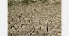 UK drought cuts potato yields, strains water supplies
