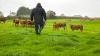 Farm enterprise factsheets and final farm survey results announced