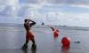 World Bank US$20.05M Grant supports Samoa Digital Transformation Initiative