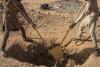 Mauritanian gold miners flee after Moroccan drone bombs vehicles in border area