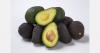 Michoacán exported 1.25 million tons of avocados to the U.S. in 2025–2026