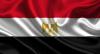 Egypt’s ElSewedy Capital signs MoU for phosphate exploration in El-Sebaeya mines