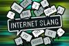 The Slang Terms Illinois Wants to Leave in 2026