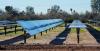 Arizona’s solar industry facing mounting backlash