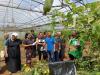 China-Tonga agricultural collaboration tackles food security and health issues