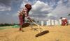 Timor-Leste urged to invest in Kingdom’s rice sector