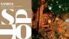 Pacific Tourism Organisation and Samoa Tourism Authority Release Key Insights from International Visitor Survey