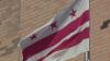What does DC delegate to Congress do?