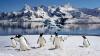 How to travel to Antarctica: everything you need to know