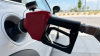 Florida gas prices hit lowest point since May, saving drivers $2.50 per fill-up